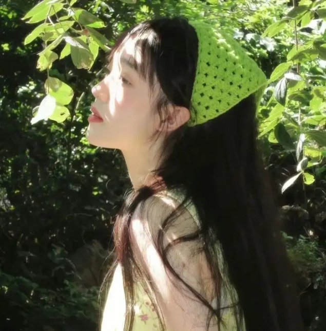 极地情天